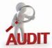 financial audits and matters